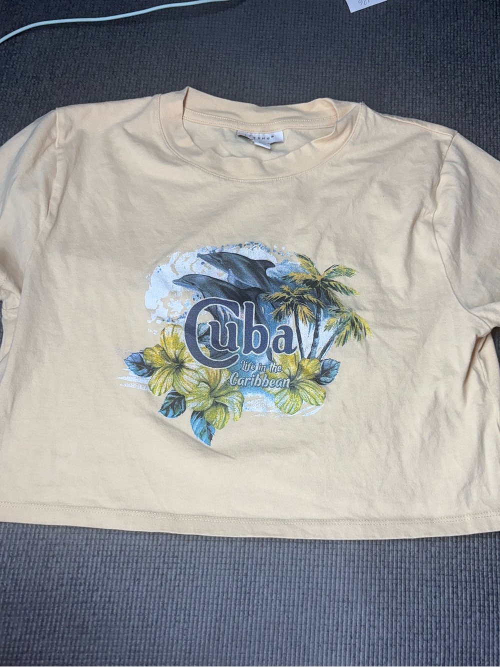 Adorable dolphin cuba tee